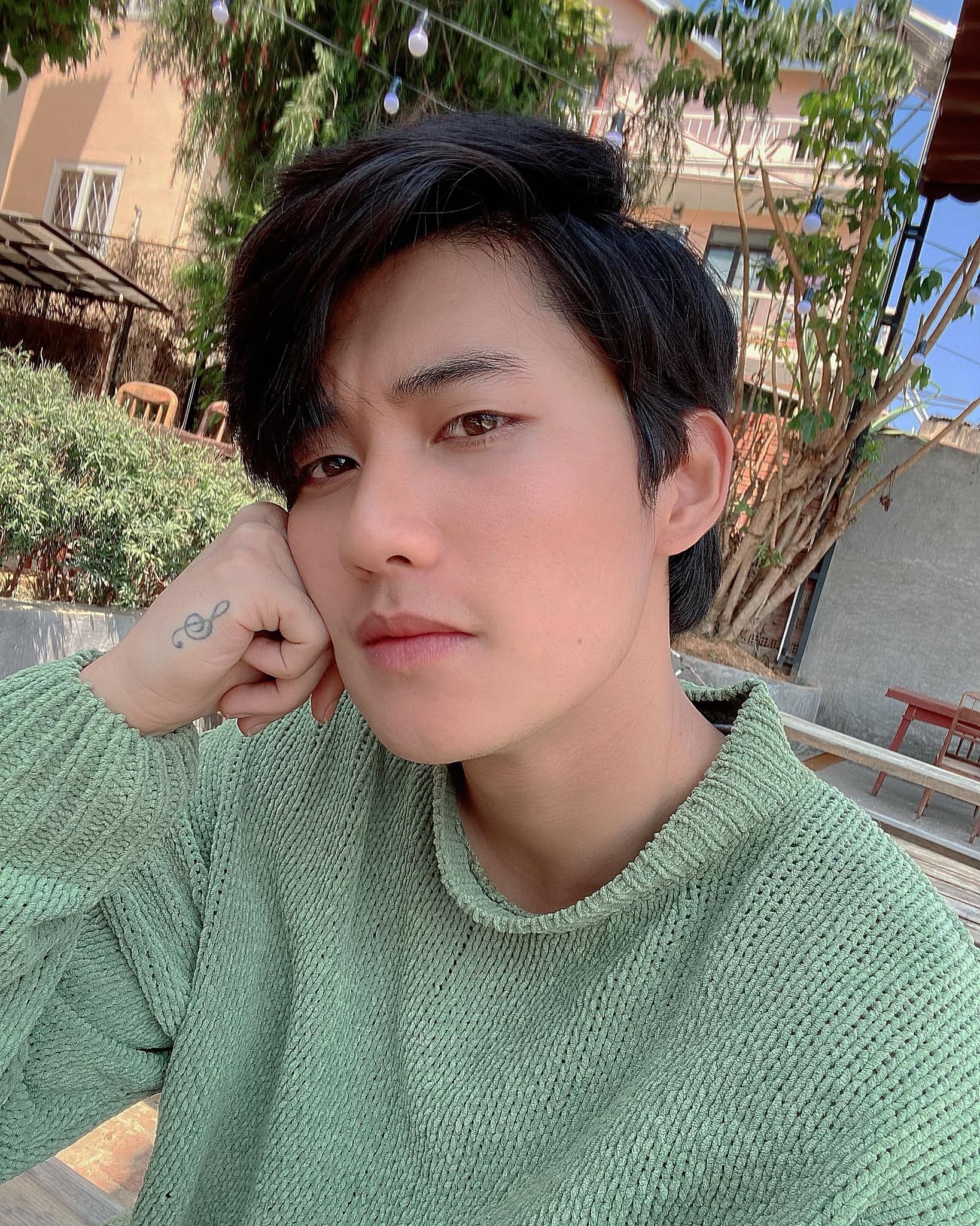 avin lu dong trinh cong son anh 8