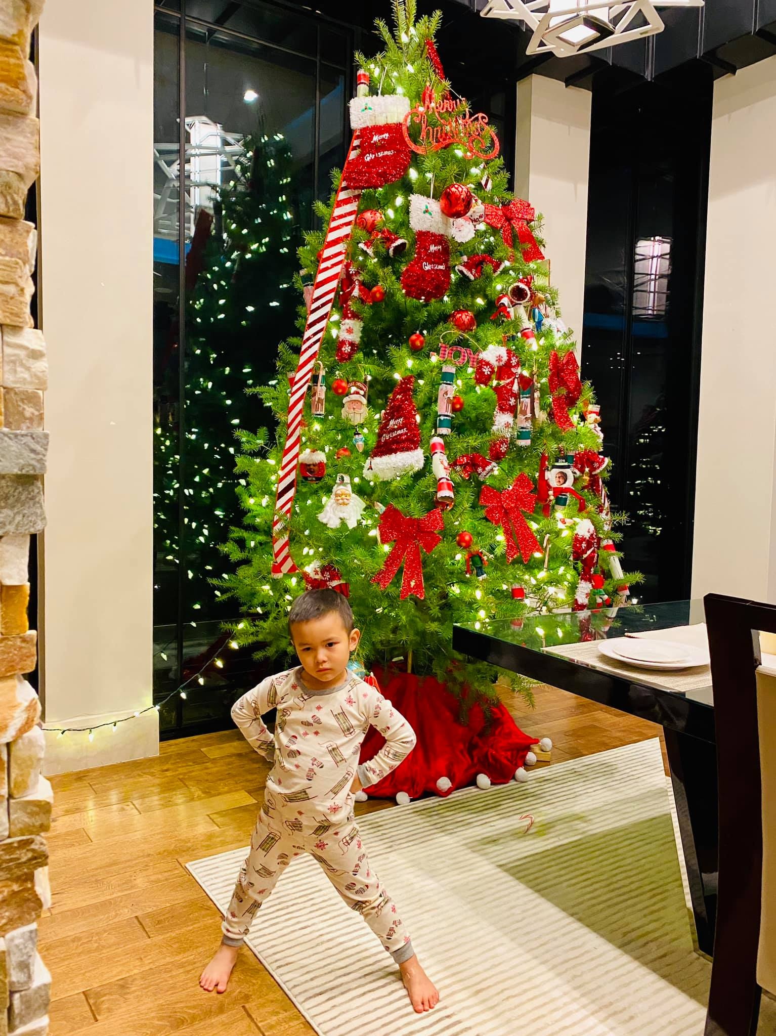 sao viet don giang sinh anh 10