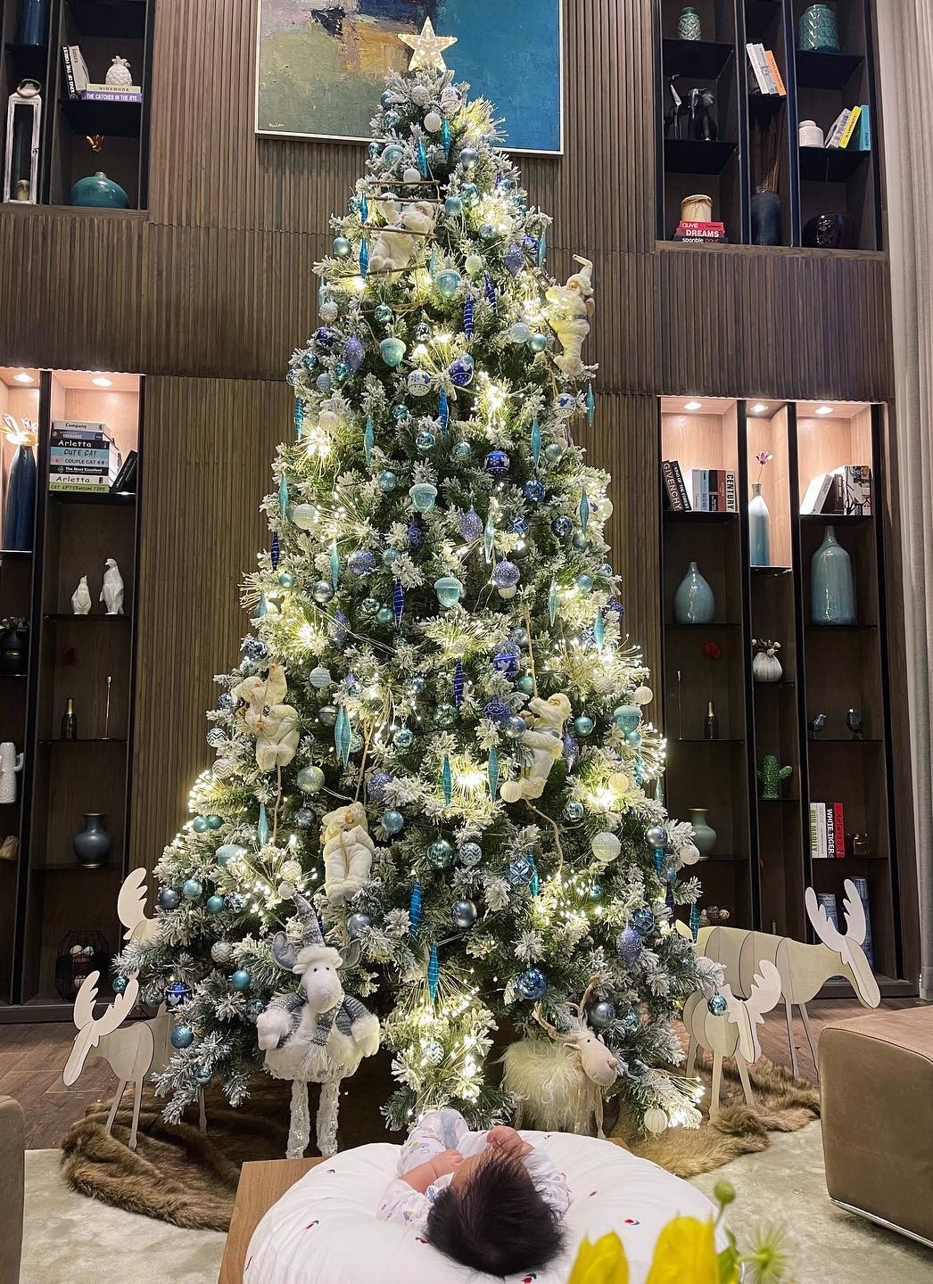 sao viet don giang sinh anh 5