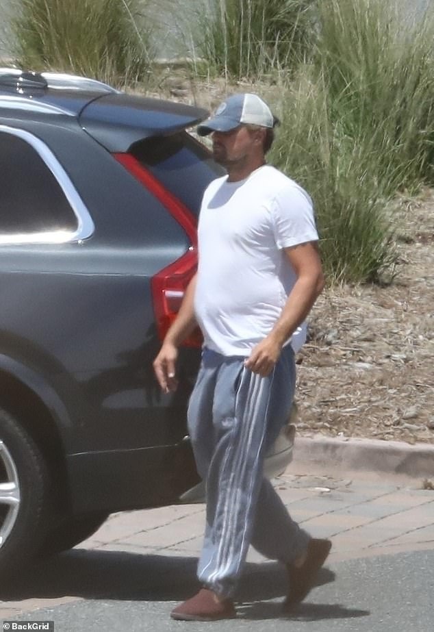 Leonardo DiCaprio lo bung mo anh 3