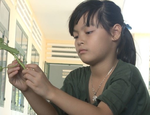 dan sao nhi bo oi minh di dau the anh 8