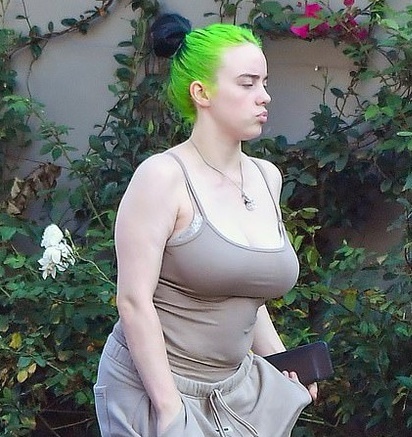 billie eilish đăng ảnh nhạy cảm  ảnh 2 billie eilish dang anh nhay cam anh 2