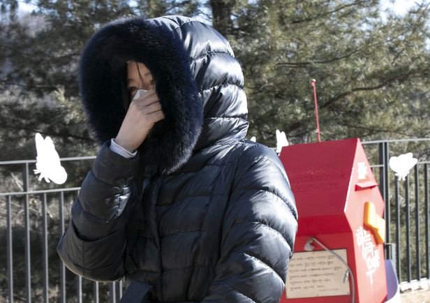 sao hàn xin lỗi bé jung in ảnh 1 sao han xin loi be jung in anh 1