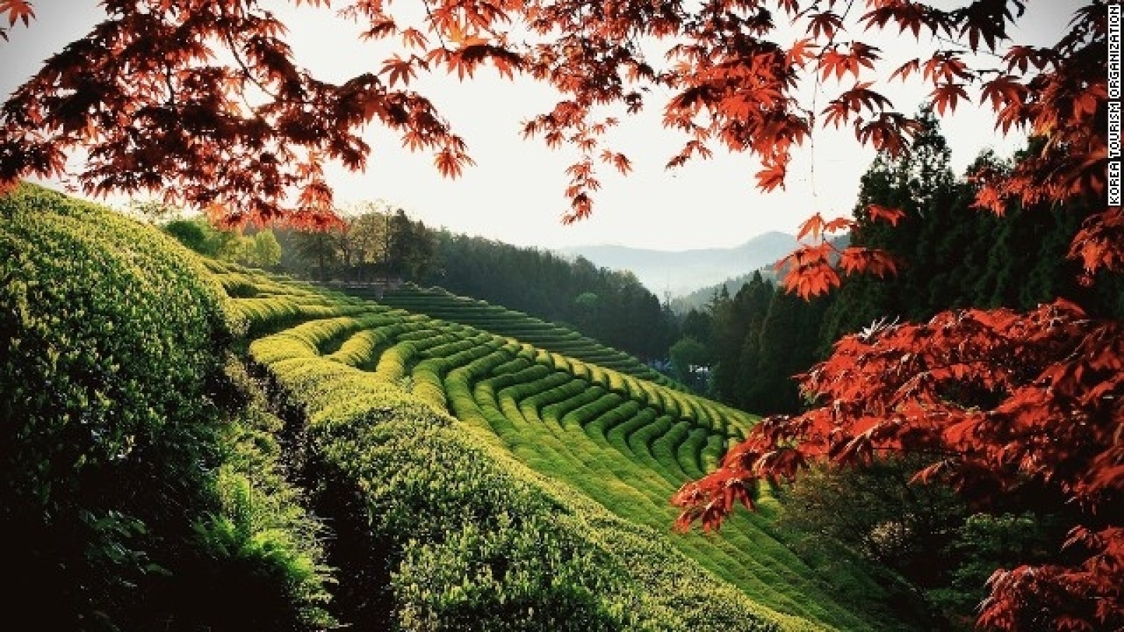 dia danh co that trong phim penthouse anh 11