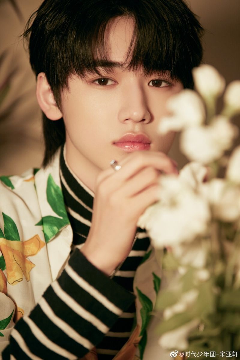 thần tượng trung quốc ảnh 5 than tuong trung quoc anh 5