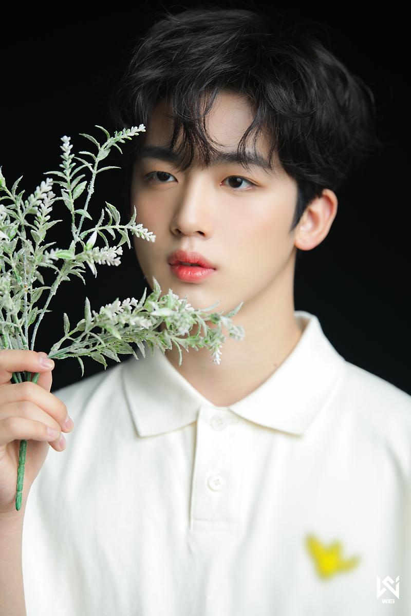 mũi kim yo han ảnh 3 mui kim yo han anh 3