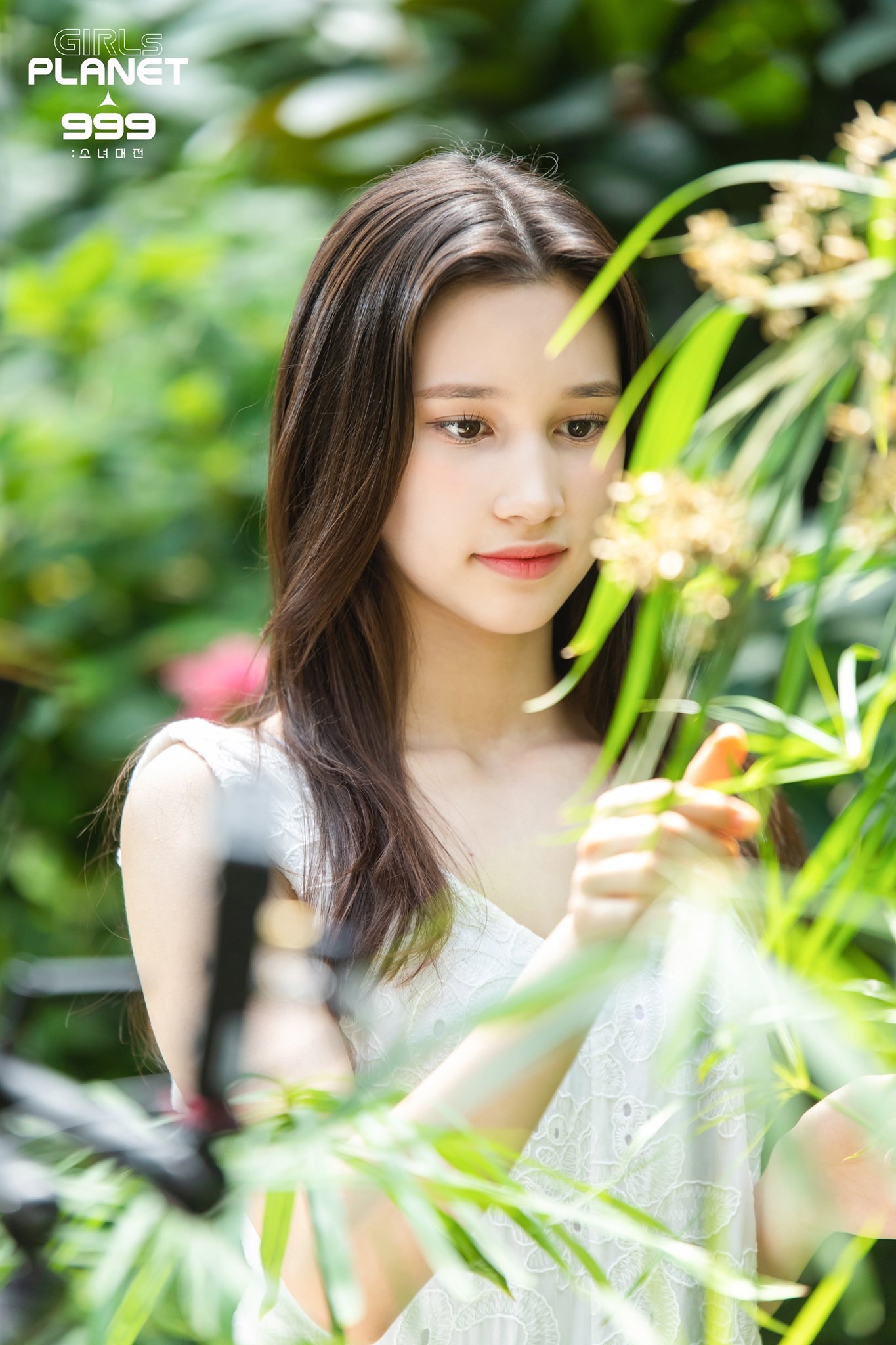 Huening Bahiyyih bi tay chay anh 2