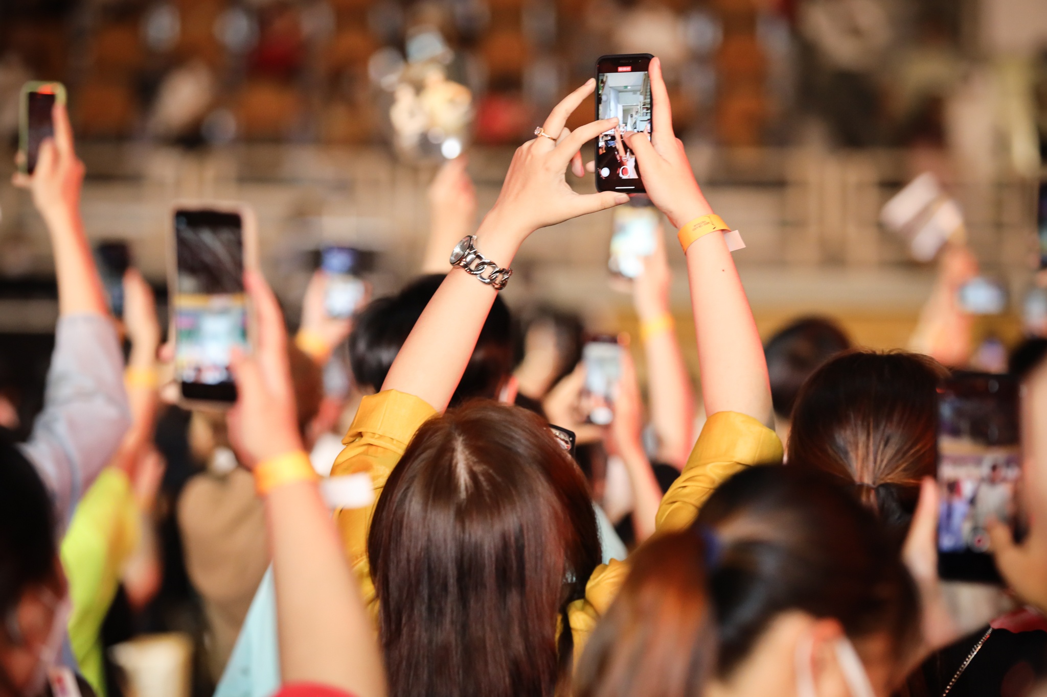 thuy tien dieu hanh anh 9