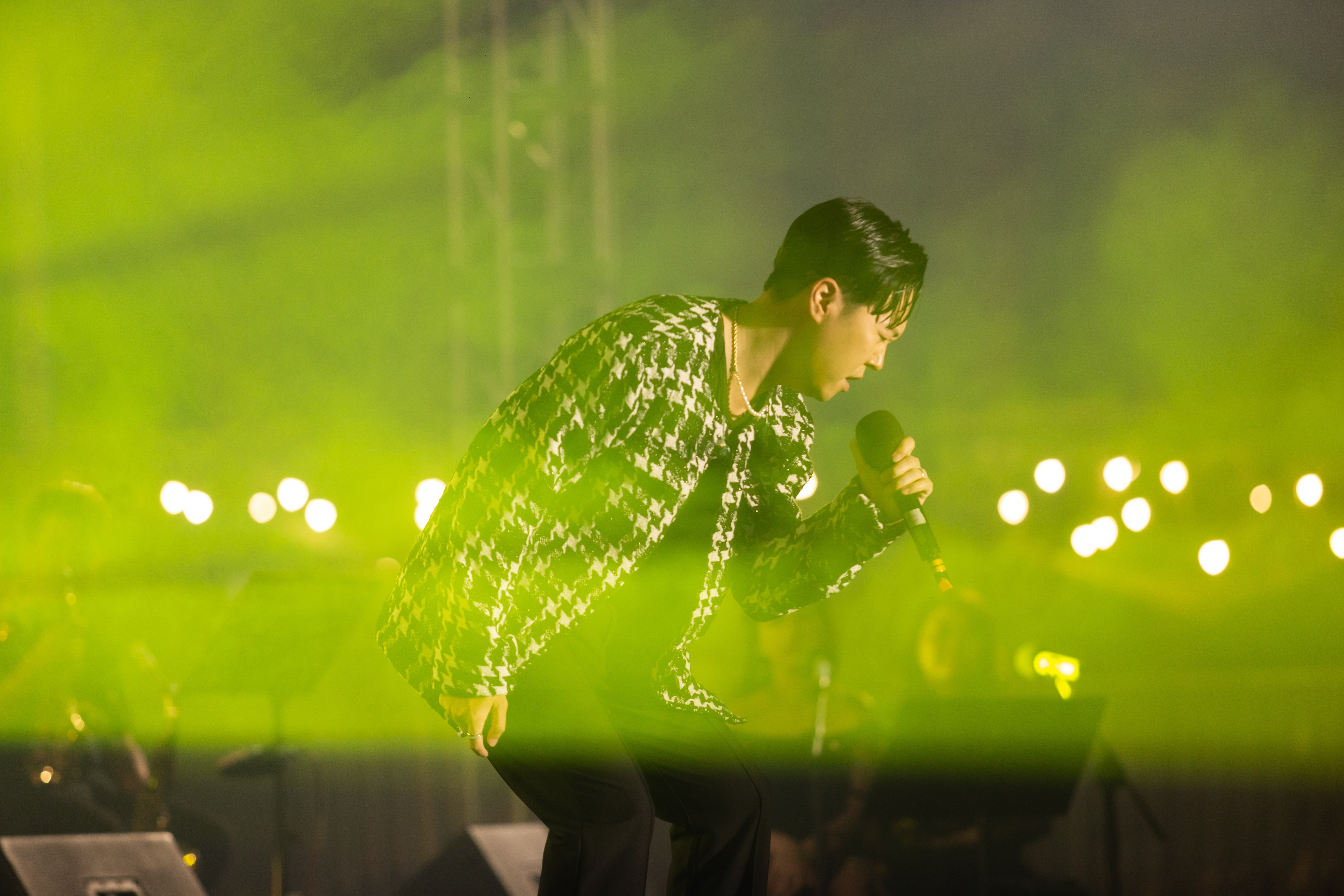 duc tri the show anh 15