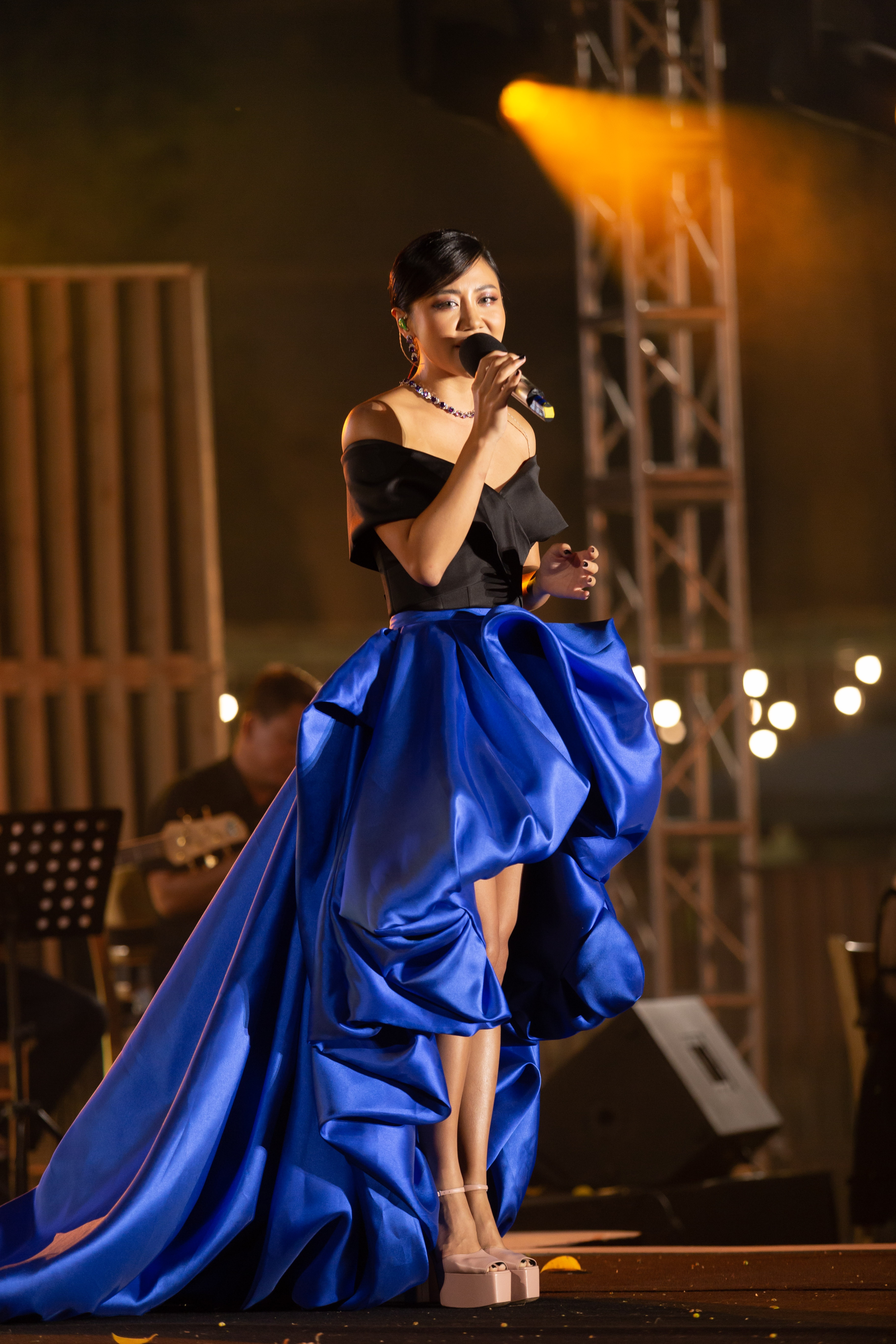 duc tri the show anh 9