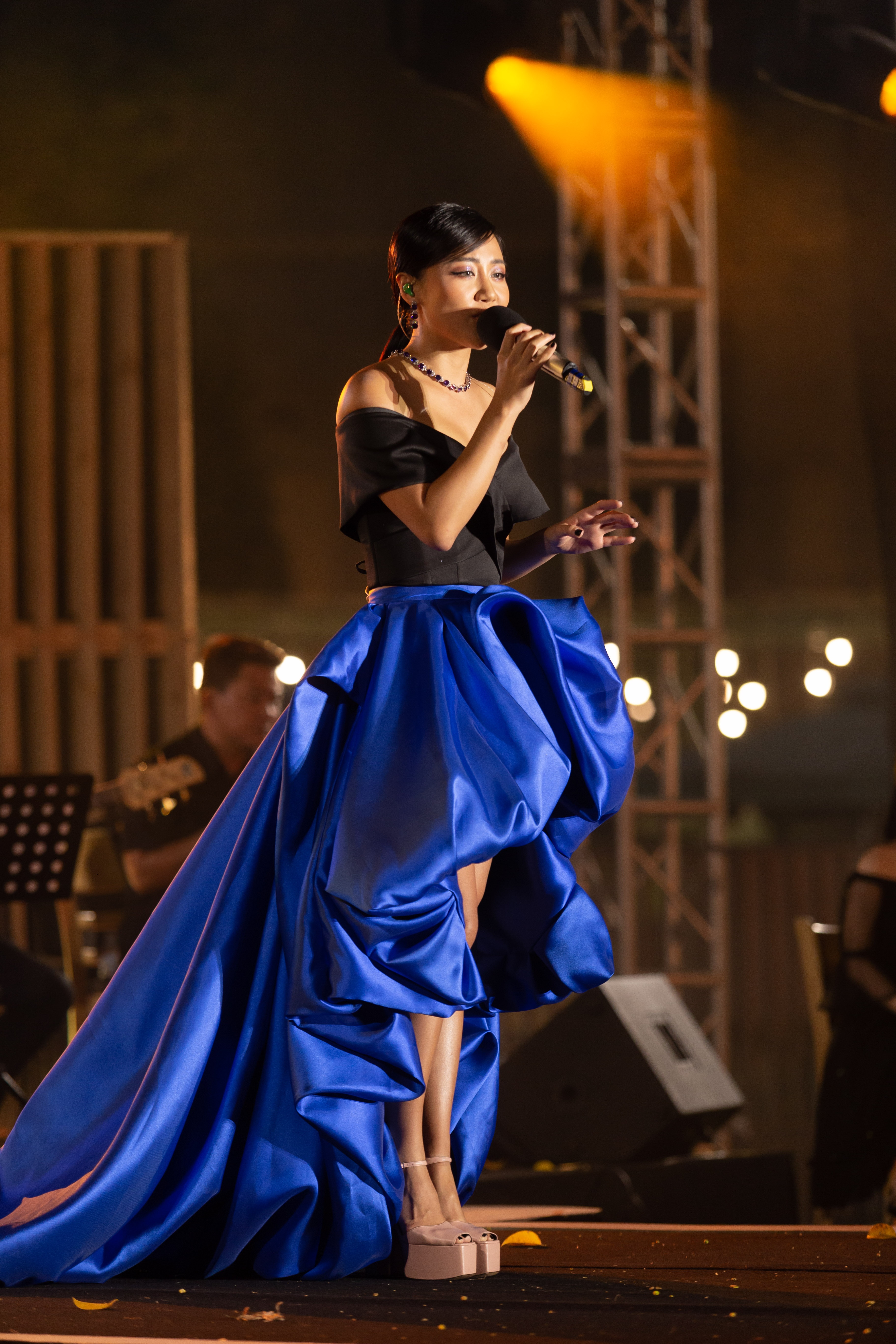 duc tri the show anh 10