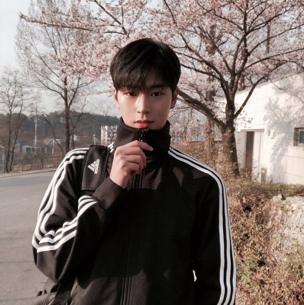 ahn hyo seop thực tập sinh jyp ảnh 14 ahn hyo seop thuc tap sinh jyp anh 14
