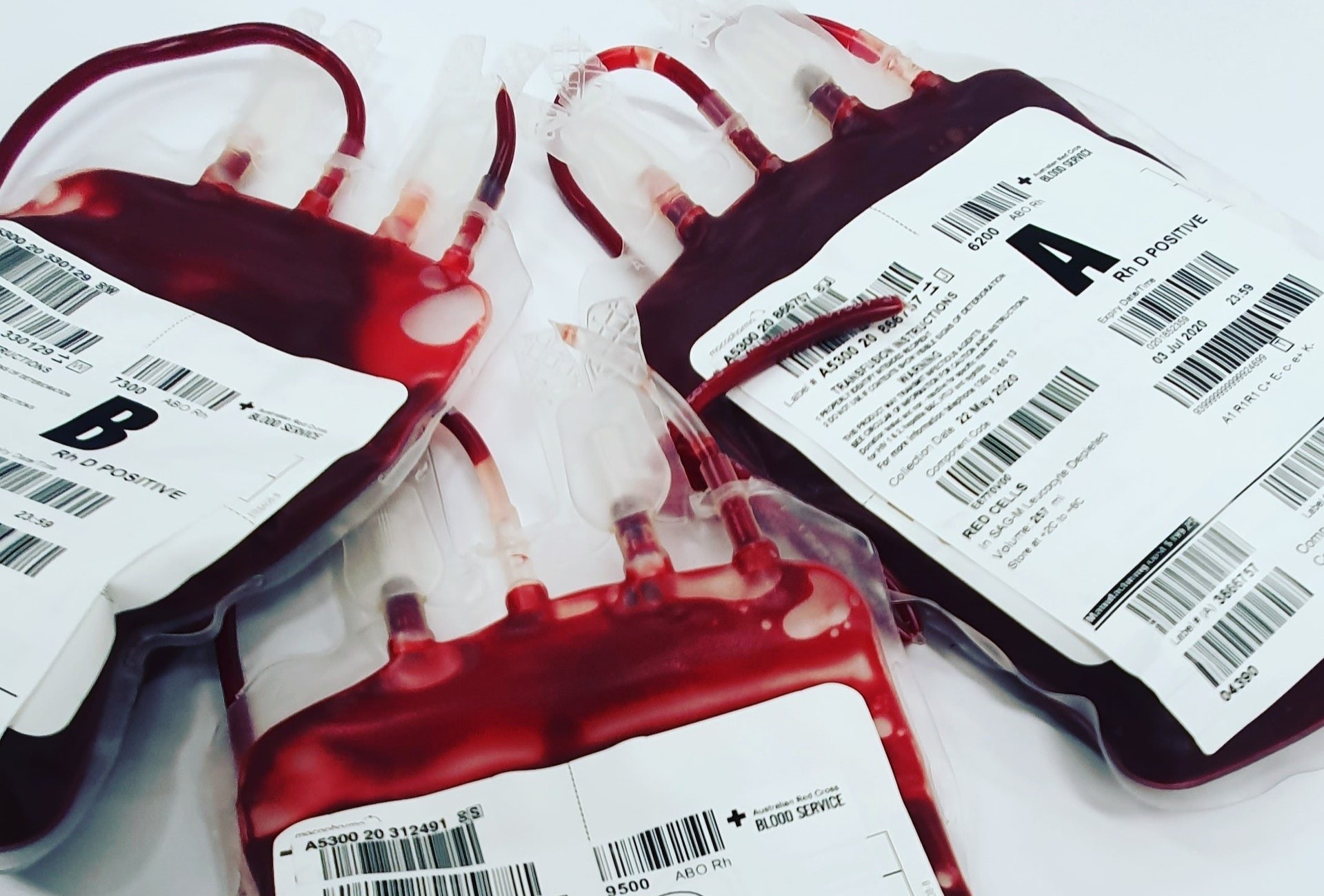 anh huong cua nhom mau anh 1