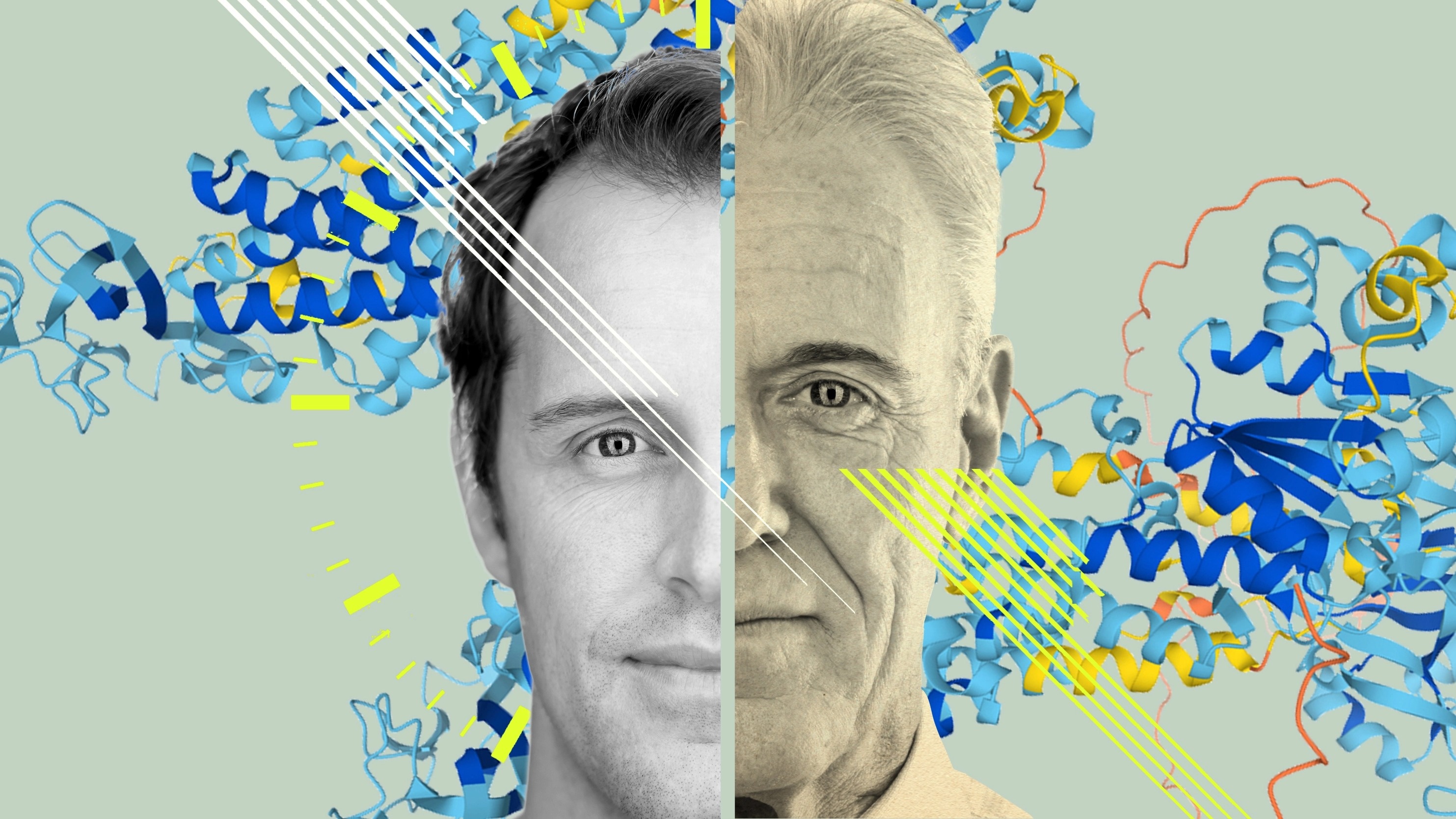 tang tuoi tho,  khoe manh anh 2