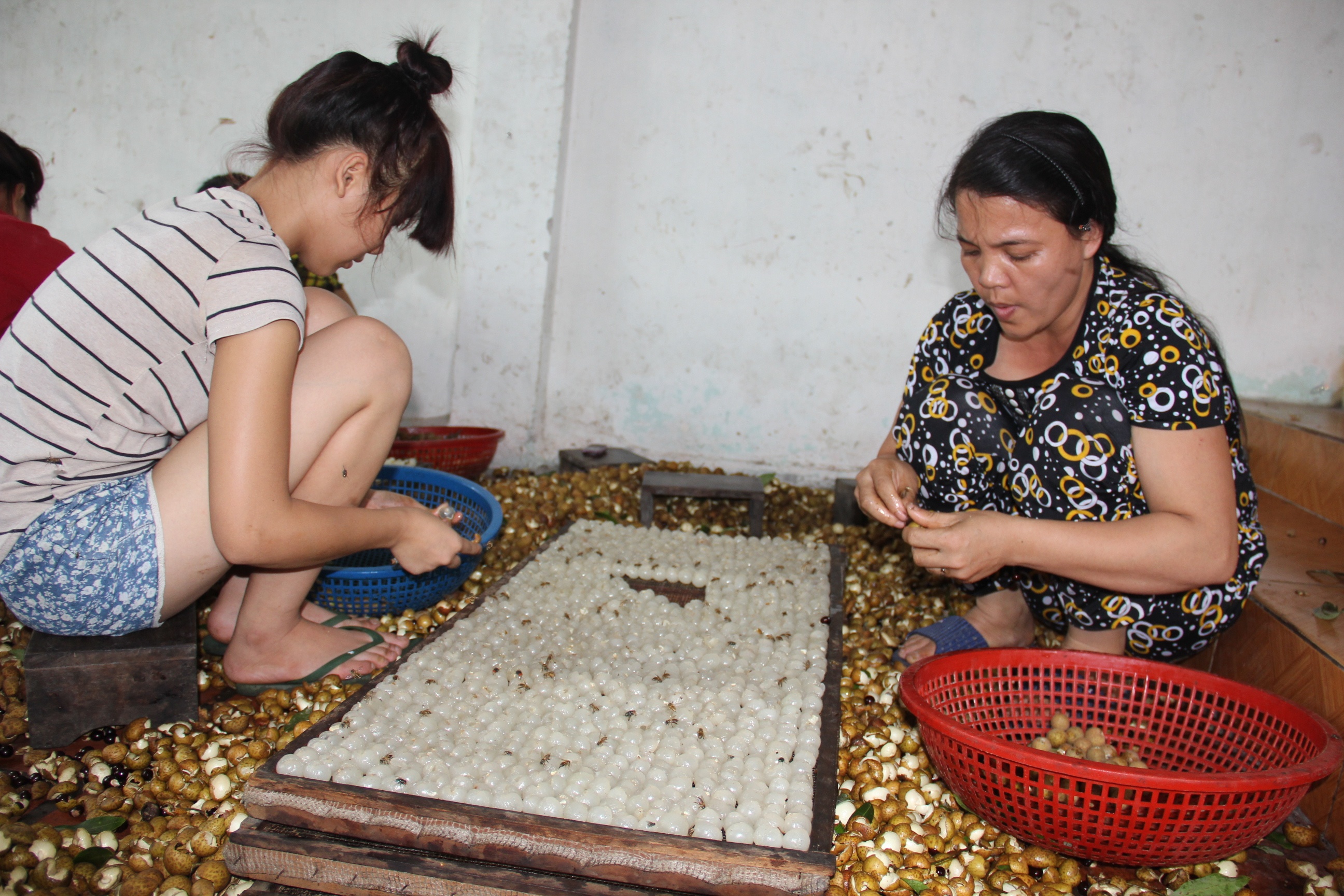 Vat va 1 thang, an ca nam tu nghe lam long nhan hinh anh