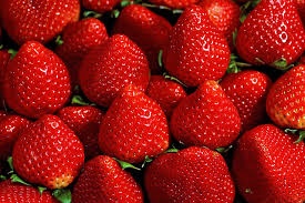 Dâu tây Úc, giá 999.000/kg. Dâu tây ngoài lượng vitamin C cao còn có các loại vitamin A, B1, B2. Quả dâu tây giúp tăng sức đề kháng, chống nhiễm trùng, chống lão hóa.