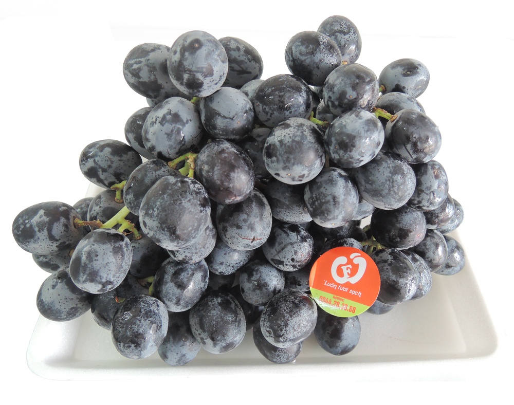 Nho Thomcord, giá 499.000/kg. Nho Thomcord được cho là cung cấp nhiều chất chống oxi hóa rất tốt cho tim mạch, huyết áp cao. Chúng cũng rất tốt cho mắt, não và trí nhớ.