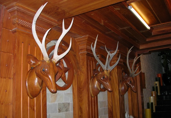 Nhung biet thu bang go chuc ty cua dai gia Viet hinh anh