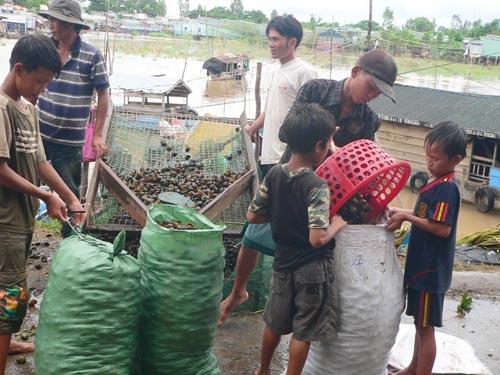 Kiem 150.000 - 200.000 dong/ngay nho bat oc buou vang hinh anh