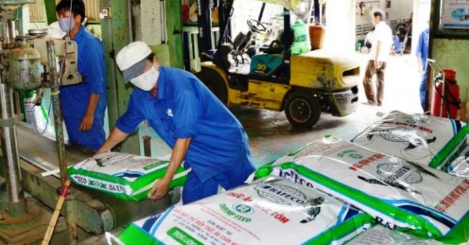 Doanh nghiep Viet ngay cang teo top hinh anh