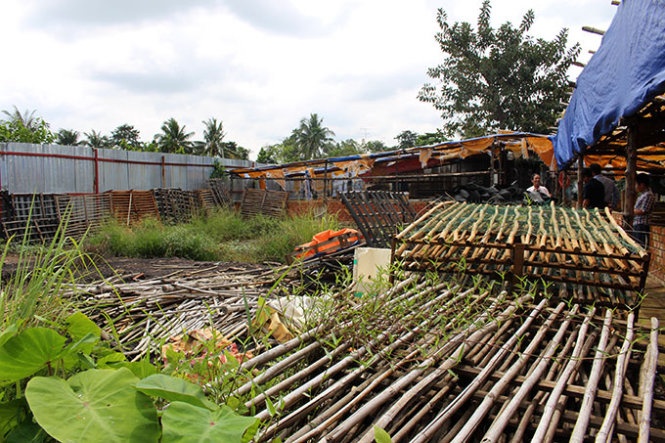 Do no vi nuoi luon khong bun hinh anh