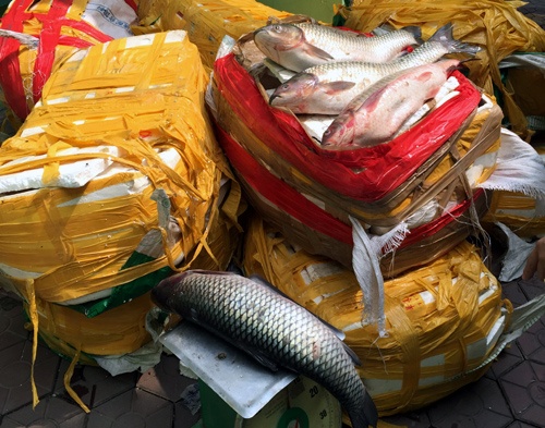 Ca qua, tram gion, nho xanh: Do an TQ bua vay Ha Noi hinh anh