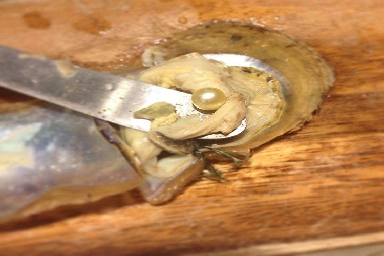 Và đây là thành quả.