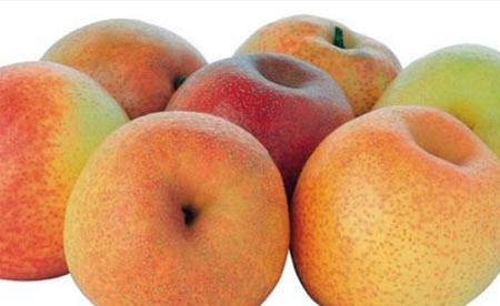 Táo nhập khẩu vào Việt Nam sẽ được giám sát chặt chẽ.