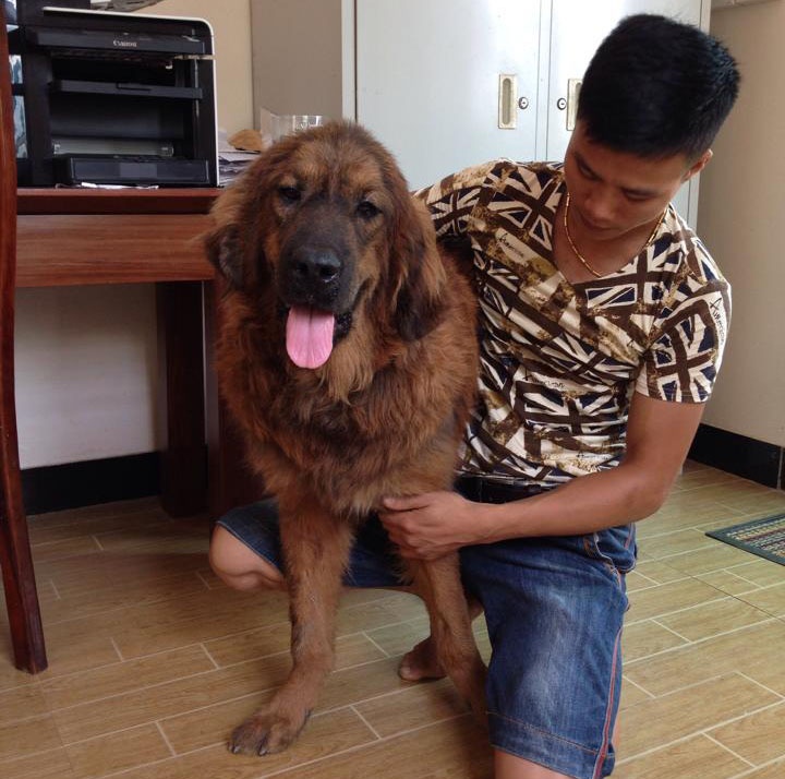 Dan choi chi tram trieu sang TQ mua cho co giay khai sinh hinh anh