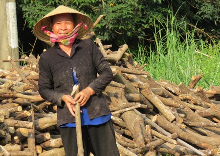 Len Sai Gon mot cui muu sinh, kiem 100.000 dong/ngay hinh anh