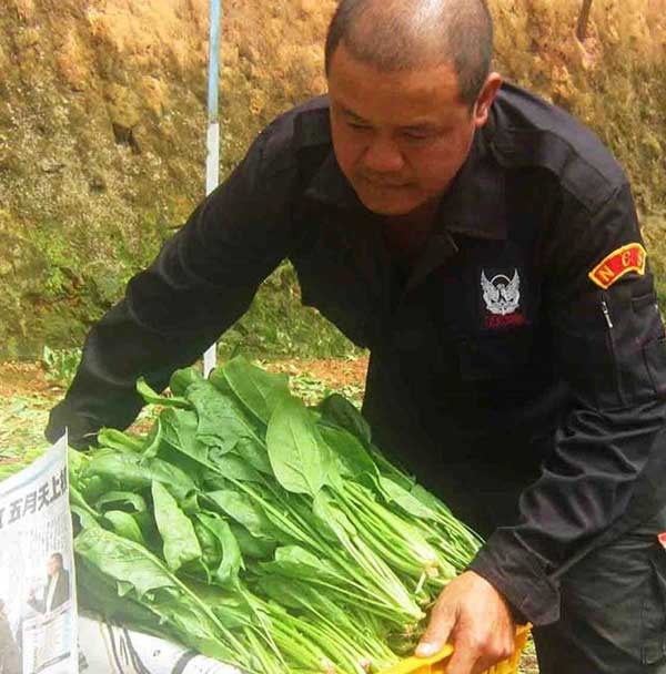 Bo xoi va tien ty cua anh nong dan Lam Dong hinh anh