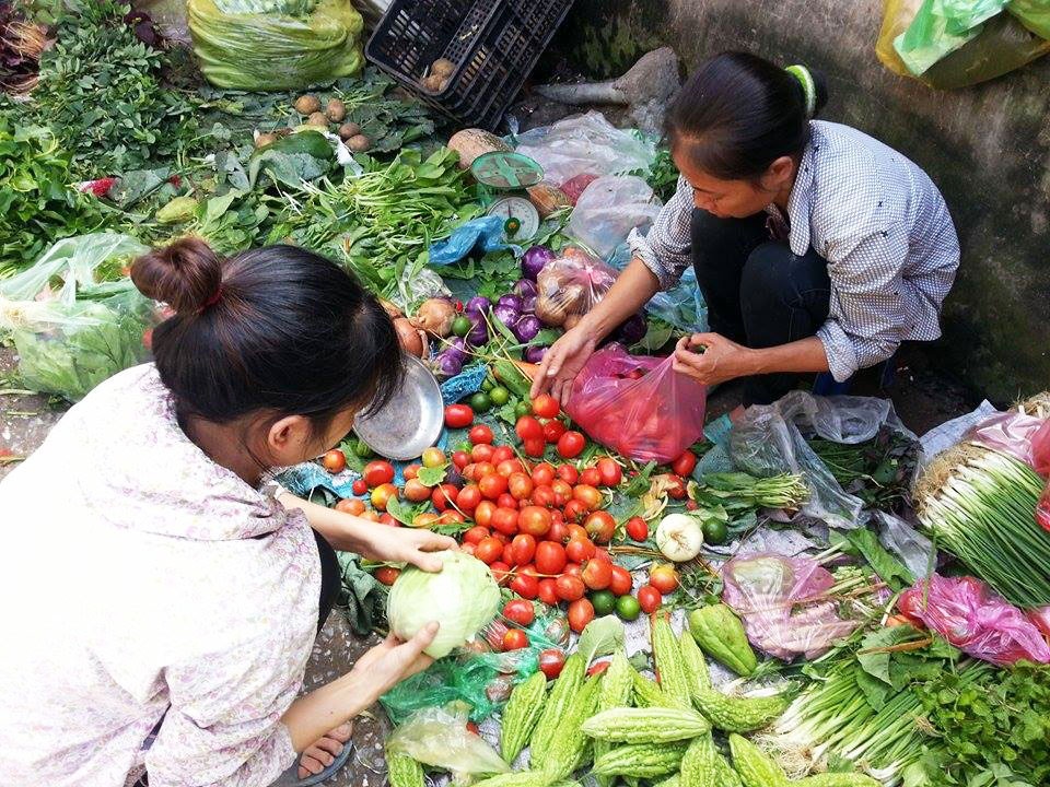 1 kg ca chua o Lam Dong khong doi duoc 1 qua o Ha Noi hinh anh