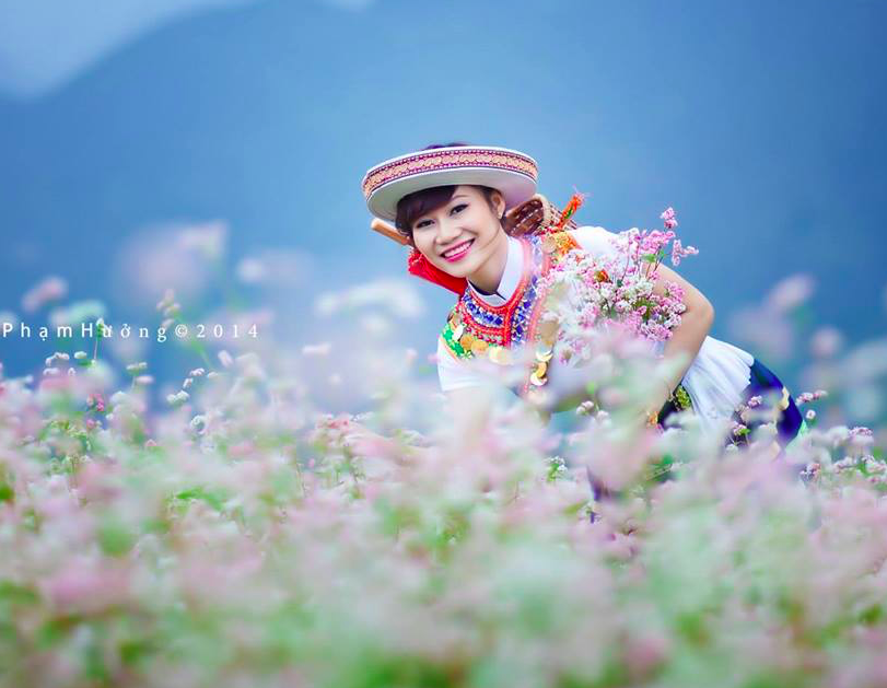 Thu loi tu loai hoa dung de phuc vu nau ruou, chan nuoi hinh anh