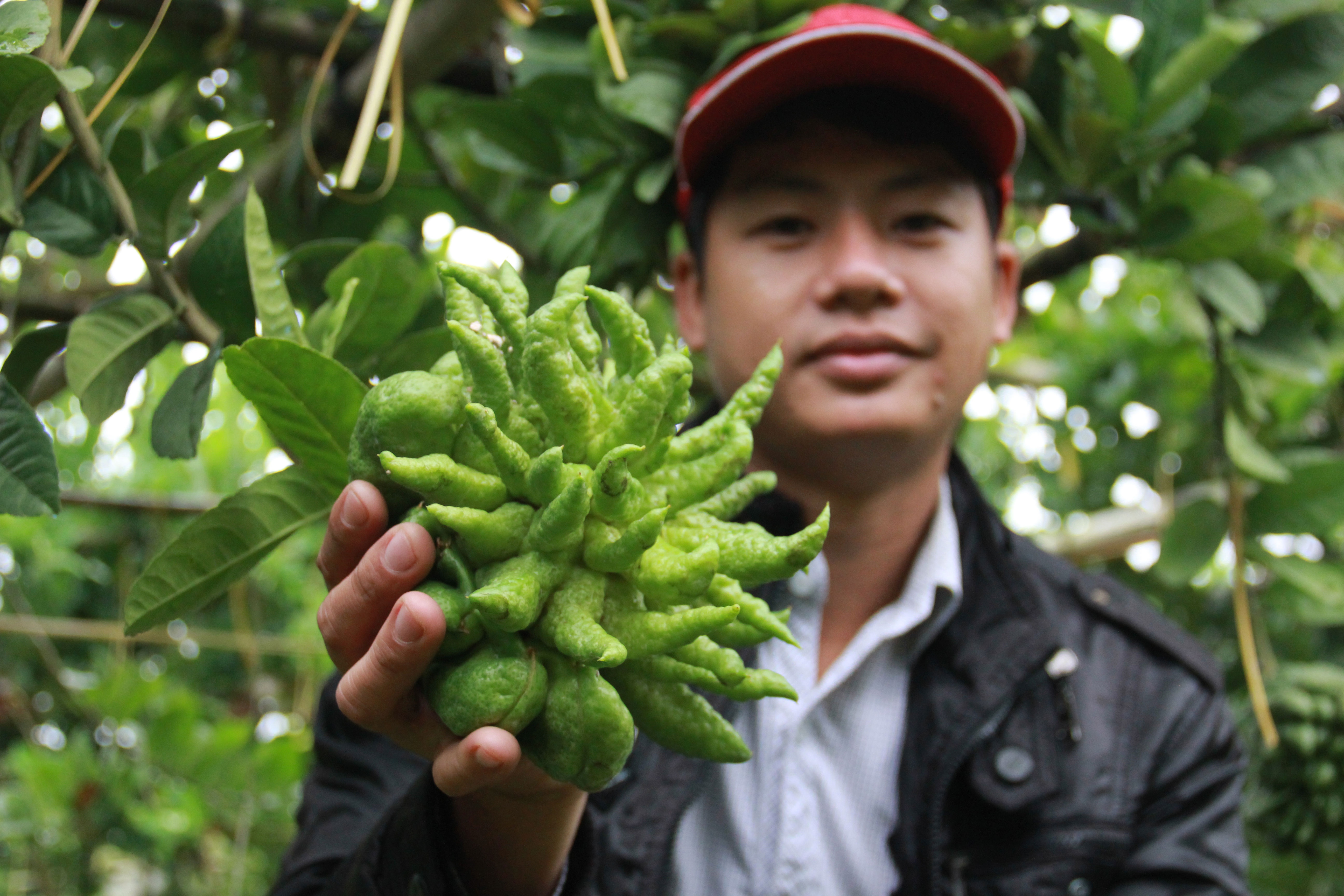 Dan Ha Noi trong phat thu: Nguoi thu tien ty, ke do no hinh anh
