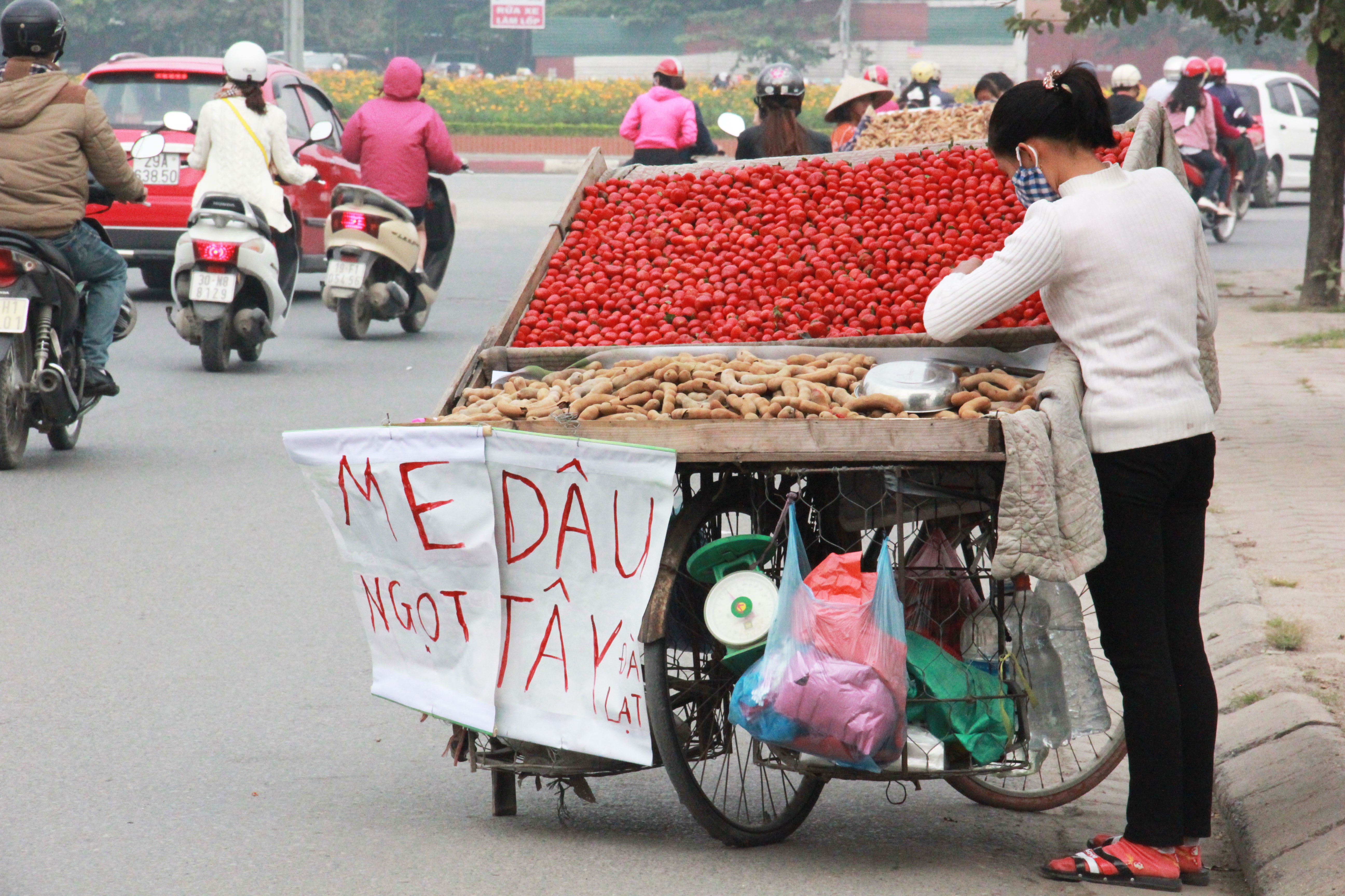 Dau tay 20.000 dong/lang ban o Ha Noi co phai hang Da Lat? hinh anh
