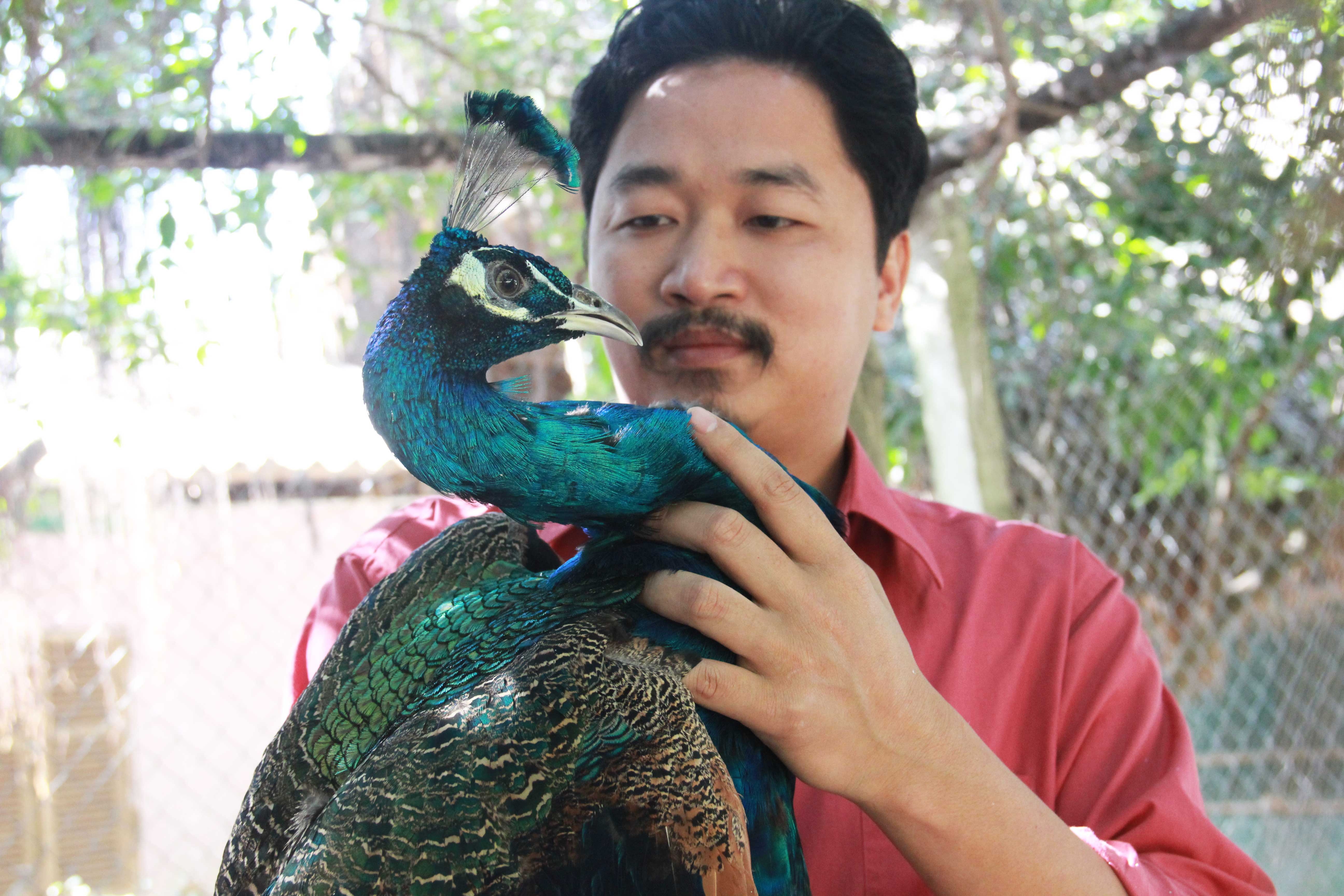 That bai kinh doanh, thanh chu trai chim quy nhat mien Bac hinh anh