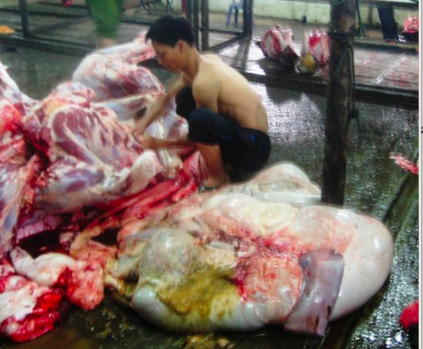 'Thoi' nuoc vao bo de tang trong luong hinh anh