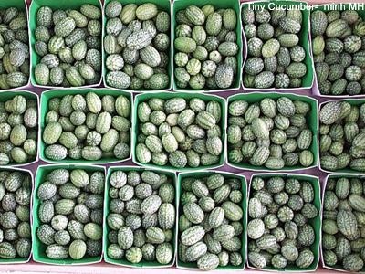 4. Một loại dưa leo siêu nhỏ mà trái chỉ dài bằng cỡ đốt ngón tay đã được gieo trồng thành công tại TP.HCM. Dưa leo siêu nhỏ có hình dáng cùng với vị giòn ngọt như dưa leo thông thường. Khi chín, trái có màu hồng ửng, bóng láng, đường kính chỉ từ 4 - 6mm, có chiều dài từ 8mm - 1cm. Ảnh: VietNamNet.