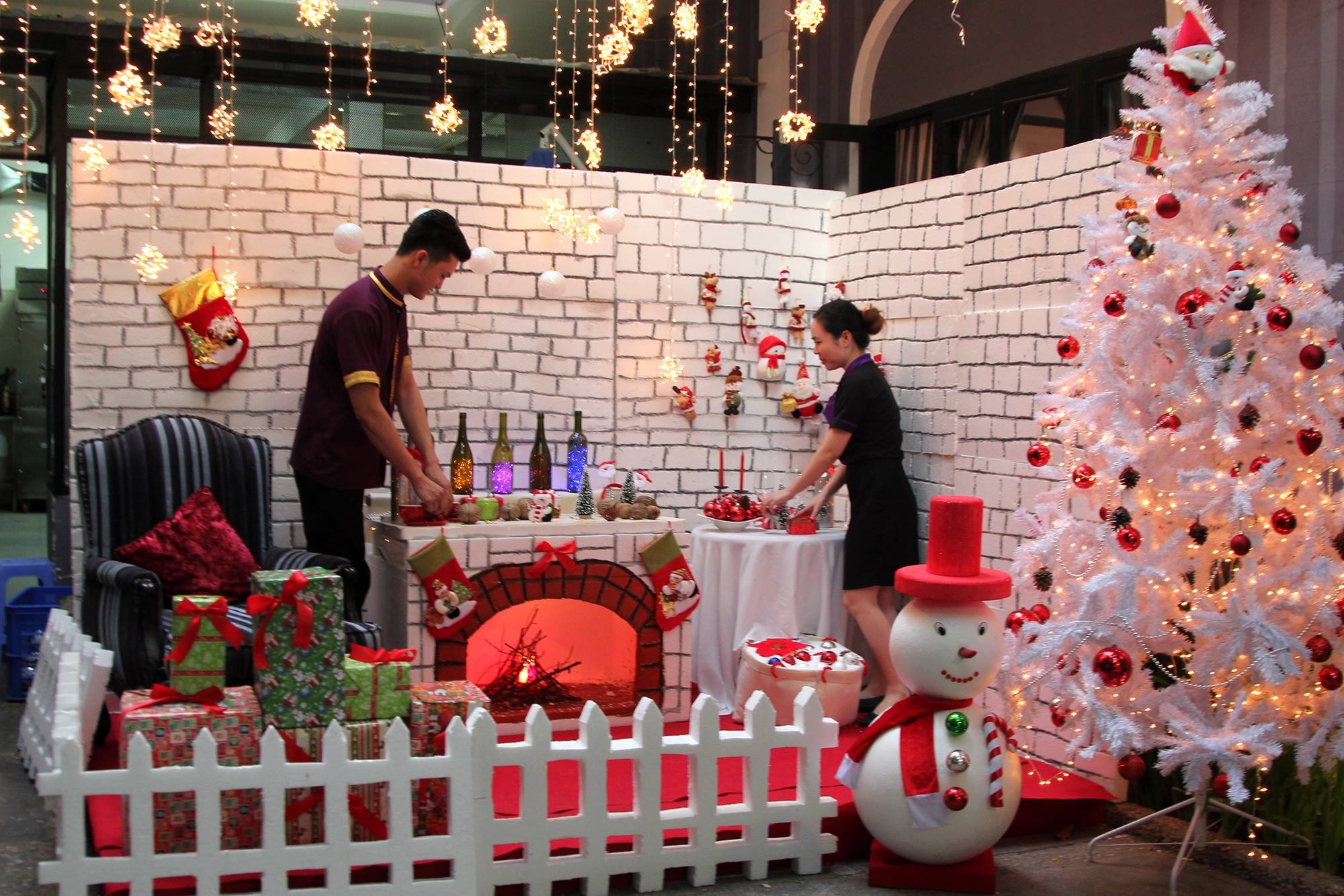 Dich vu cho thue cay thong Noel dat hang sat Giang sinh hinh anh