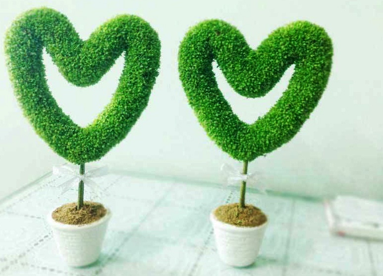 100.000 dong/cay thanh long mini khien khach teen me man hinh anh