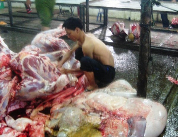 13.	Ngày 4/12, Phòng cảnh sát môi trường (Công an TP Đà Nẵng) cho biết, đang tiến hành xử lý, đề nghị rút giấy phép hoạt động của cơ sở giết mổ gia súc do bà Lâm Thị Lệ Thu (Hòa Phát, Q.Cẩm Lệ, Đà Nẵng) làm chủ vì hành vi: “cố tình đưa nước hoặc chất khác vào động vật trước và sau khi giết mổ”,  nhằm tăng trọng lượng thịt khi mang bán, gây ảnh hưởng đến sức khỏe người tiêu dùng. Ảnh: Dân Việt. 