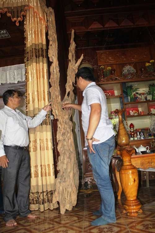 13.	Sở hữu hàng trăm kiệt tác gốc trầm tự chế trong nhà, anh Lê Văn Thọ (SN 1958) trú tại xóm 8, xã Phúc Trạch khiến nhiều người không khỏi xuýt xoa tấm tắc. Đặc biệt, một gốc trầm gọi là “cây gia bảo”, được coi là “lộc” của gia đình anh khiến nhiều người ngưỡng mộ. Ảnh: Infonet. 