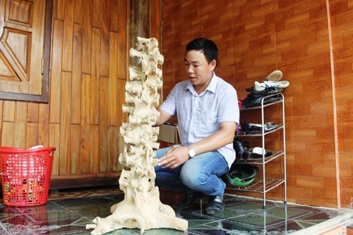 “Cây gia bảo” có hình thức đẹp, cao lớn, nhiều vệt đen, tia dầu uốn lượn, có hình như hàng trăm chiếc đồng hồ cát sắp hình thẳng đứng. Anh Thọ chia sẻ, nhiều tay buôn, nhất là thương lái Trung Quốc đã ra giá nửa tỷ đồng nhưng anh vẫn chưa bán. Ảnh: Infonet.