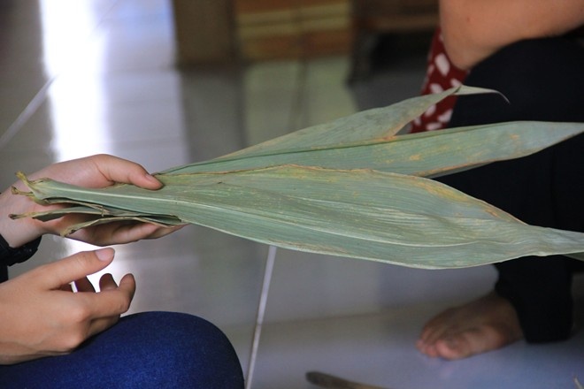 1, Buôn lá tre kiếm tiền tỷ Tưởng rằng không có tác dụng gì ngoài việc để đốt, nhưng lá tre đã giúp nhiều gia đình ở Mỹ Đức (Hà Nội) và Đoan Hùng (Phú Thọ) kiếm tiền triệu, thậm chí là tiền tỷ. Đơn cử, gia đình bà Đặng Thị Triệu, một hộ nghèo ở xã An Phú, Mỹ Đức, Hà Nội đã có doanh thu lên đến hàng tỷ đồng từ việc buôn bán lá tre. Năm 1992, giá vàng chỉ hơn 400.000 đồng/chỉ thì chưa đầy 50 kg lá tre, bà Triệu bán giá 14.000 đồng/kg, đã thu về 700.000 đồng. Ảnh: Ngọc Lan. 