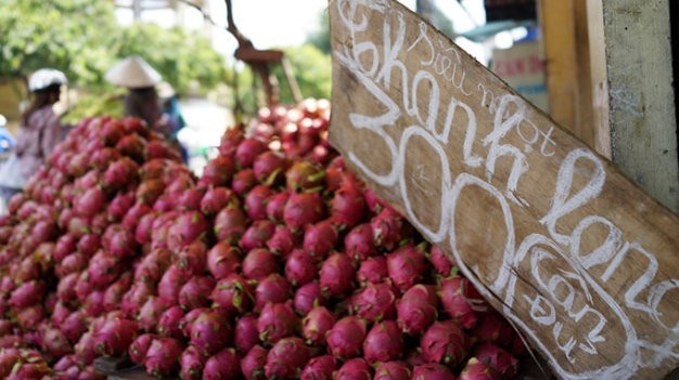 Mặc dù còn 1 – 2 đợt thu trái nữa, nhưng giá xuống thê thảm khiến nông dân không còn khí thế để rồng trọt. Dọc QL1 thuộc huyện Hàm Thuận Nam , tỉnh Bình Thuận, trái thanh long bị các chủ vựa, nhà vườn đổ bỏ từng đống bởi không bán được. Giá mỗi kg thanh long bán tại vườn chưa đến 1.000 đồng, trong khi đó, nhiều thương lái cũng ngậm ngủi khi phải bán 3.000 đồng/kg và không quên kèm theo câu cân đủ để thu hút người mua. Ảnh: Tuổi Trẻ.