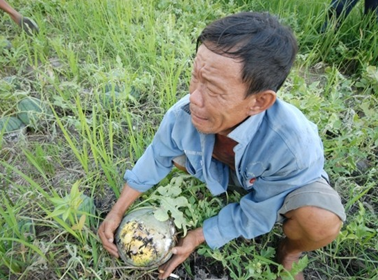 Nhung hinh anh nong dan mat mua gay xuc dong trong nam 2014 hinh anh