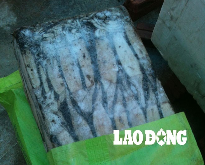 Truy tim nguon goc muc gia beo trong duong day tay trang hinh anh