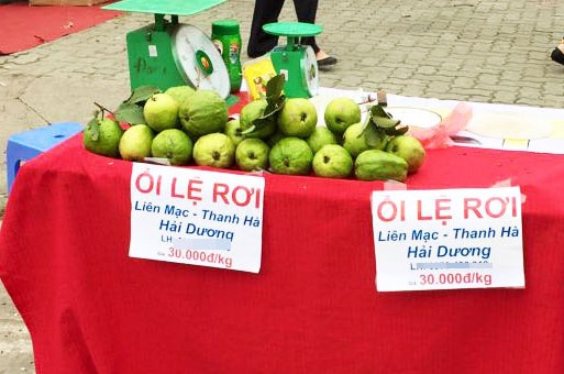Muon mac 'Le Roi', oi Hai Duong ban chay o Ha Noi hinh anh
