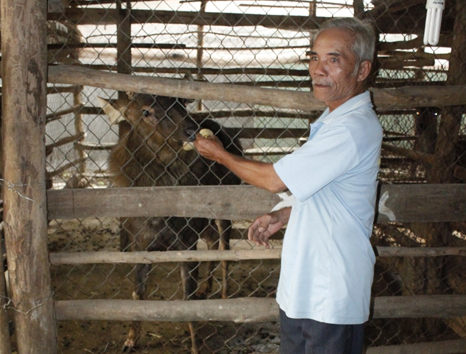Nuoi nai hieu qua o An Giang hinh anh