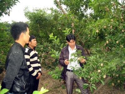 Trao đổi kinh nghiệm tìm phương pháp làm giàu hiệu quả.